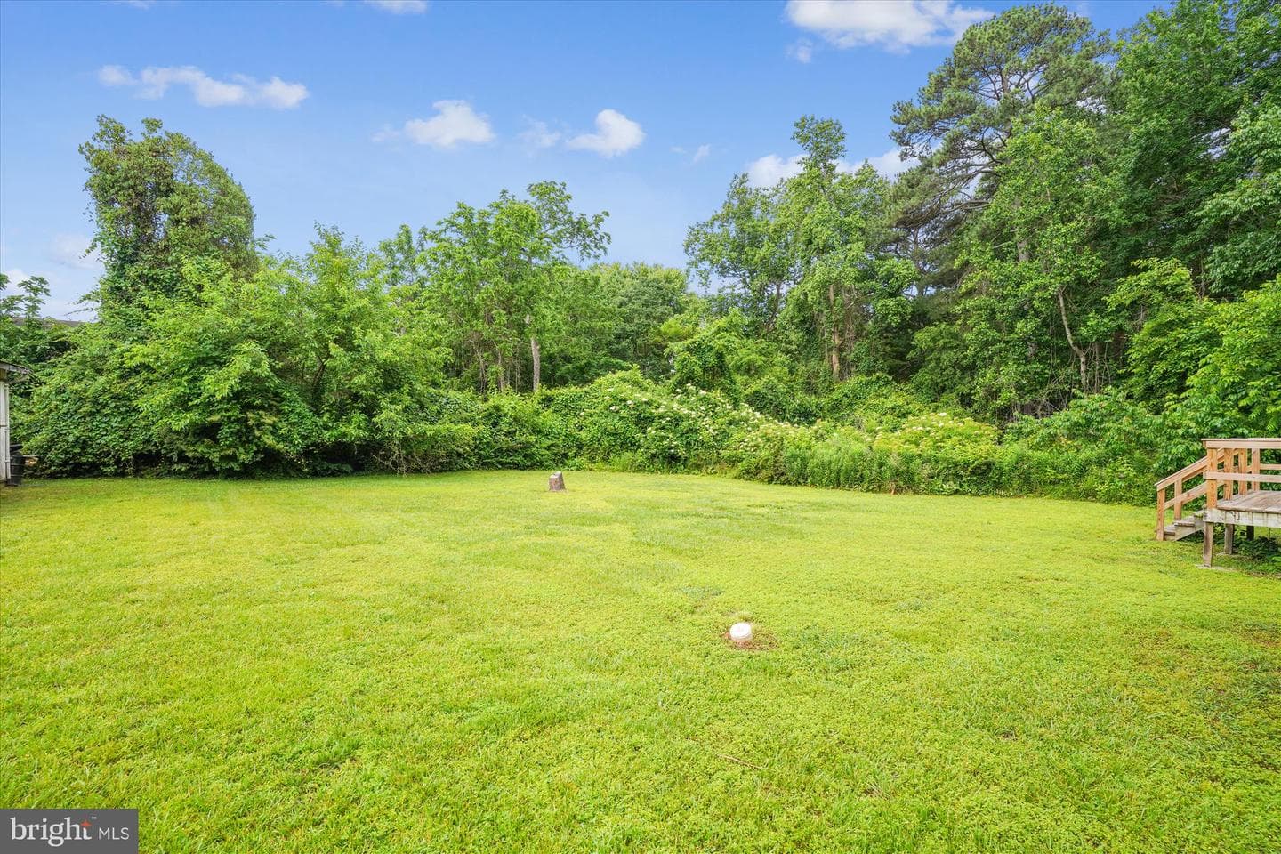 339 Gray Drive photo 2