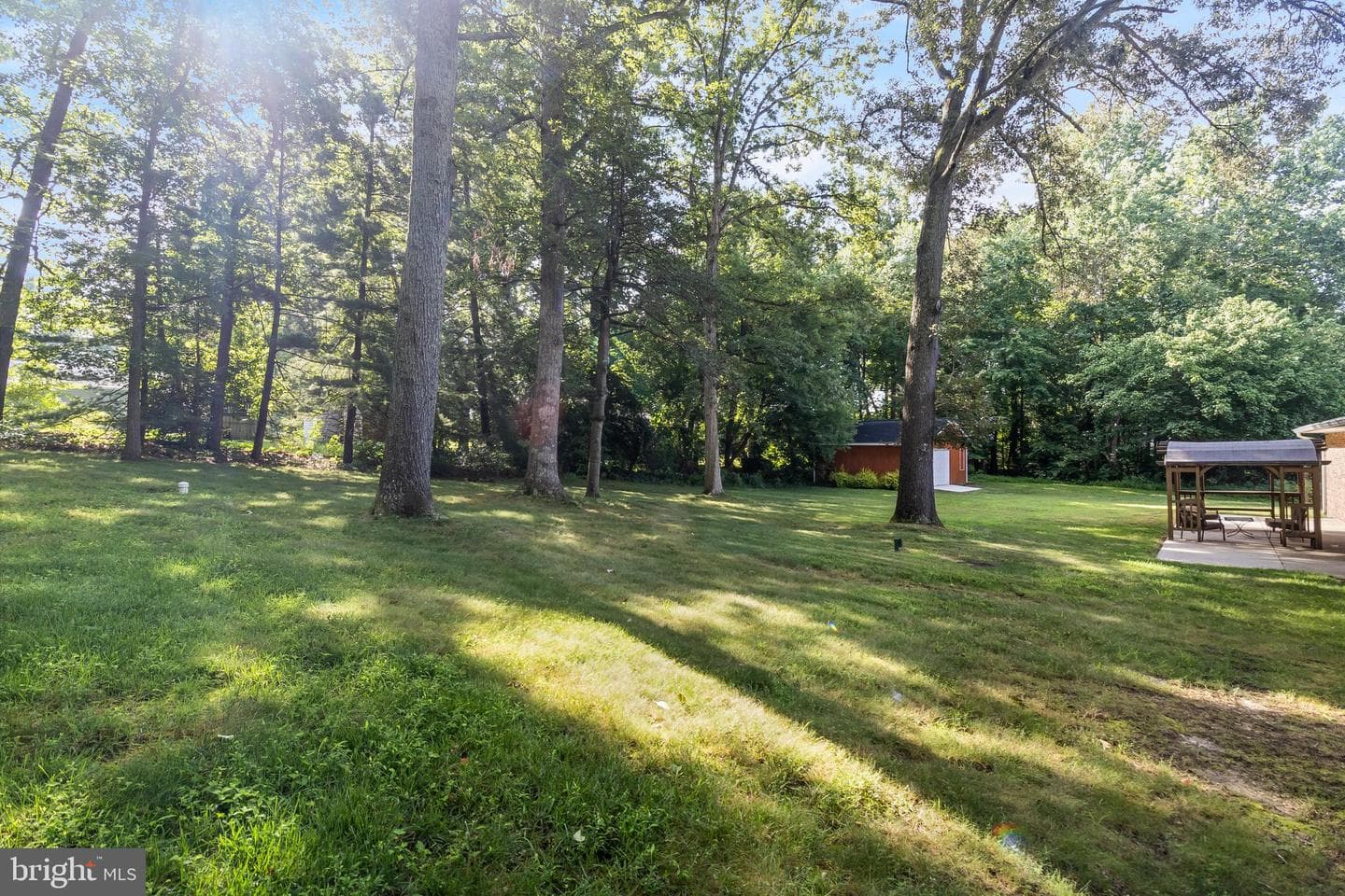 11215 Maplewood Drive photo 46