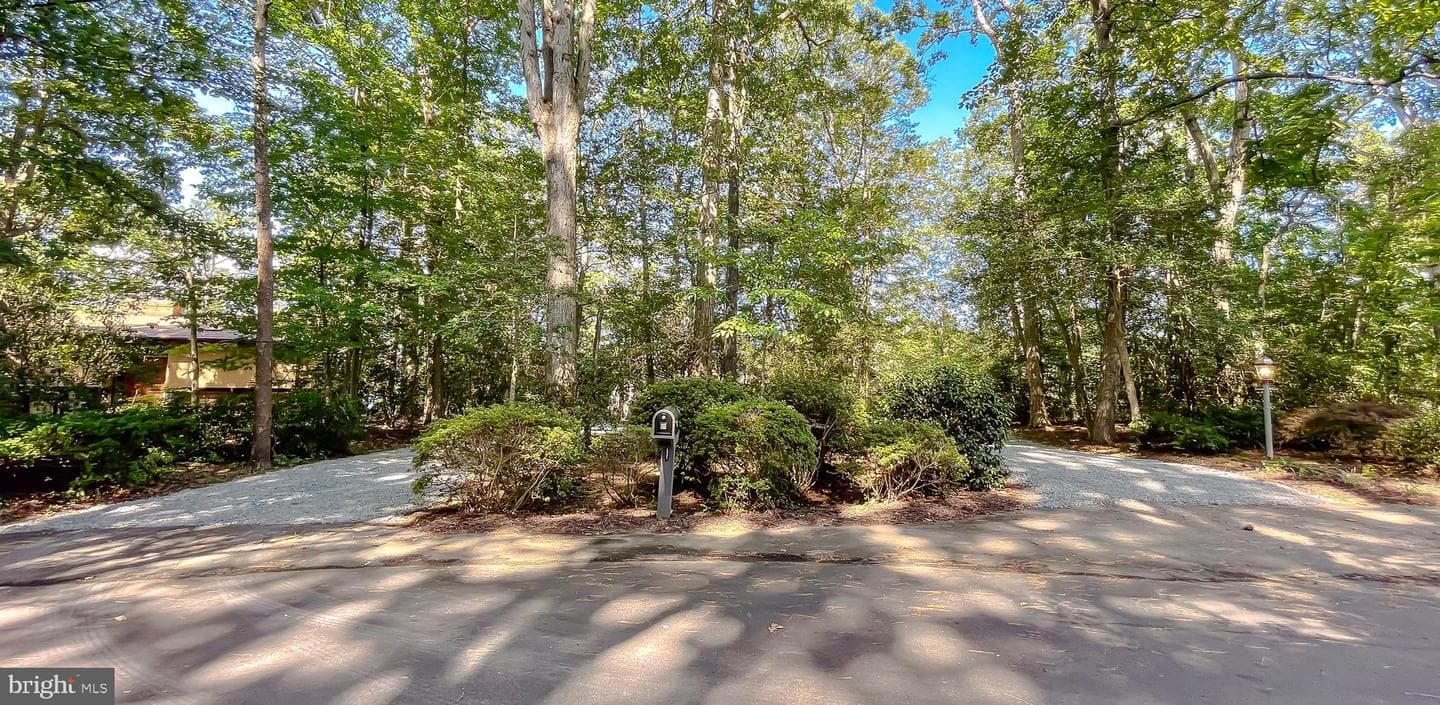 222 Harbor Drive photo 63