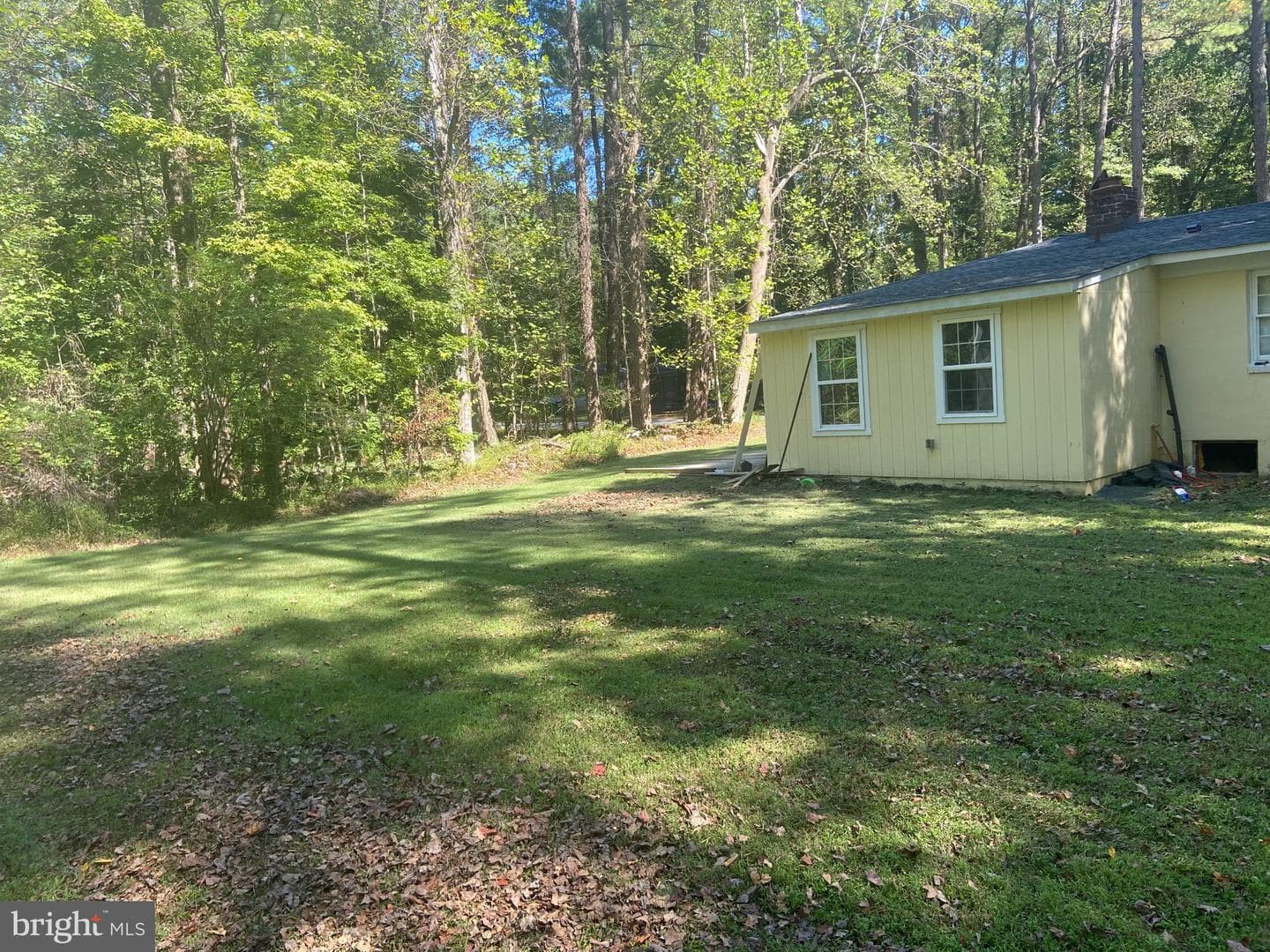 13109 River View Drive photo 4