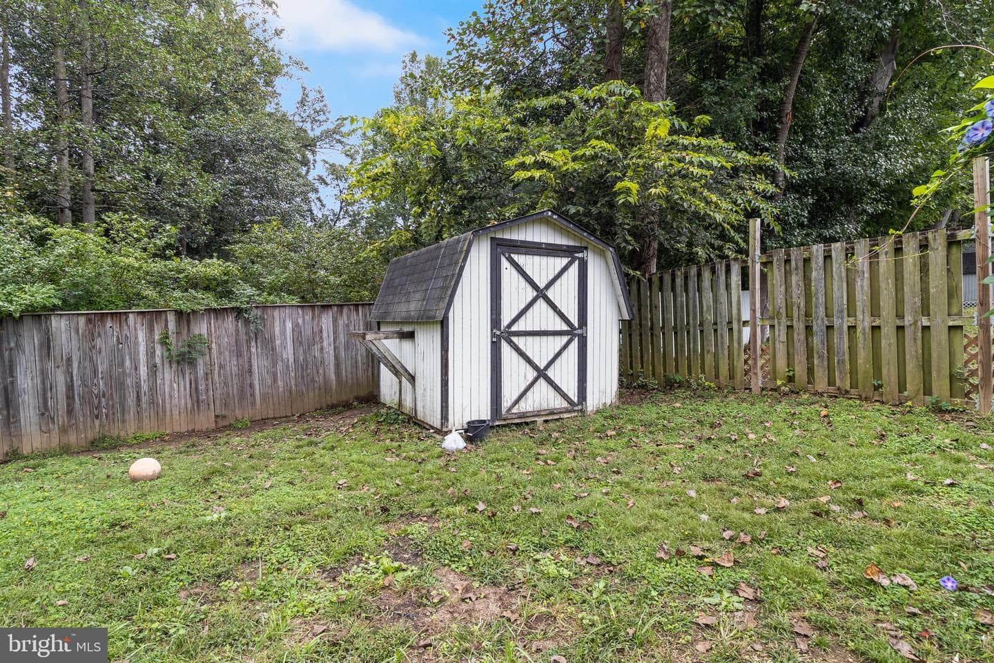 3806 Cassell Boulevard photo 20