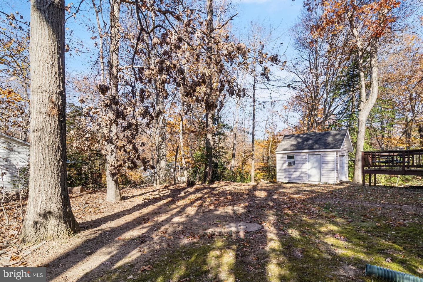 11581 Deadwood Drive photo 28
