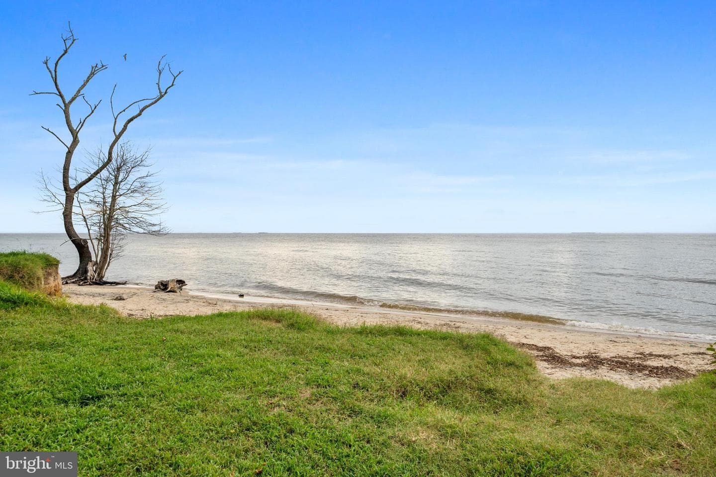 3707 Cassell Boulevard photo 51