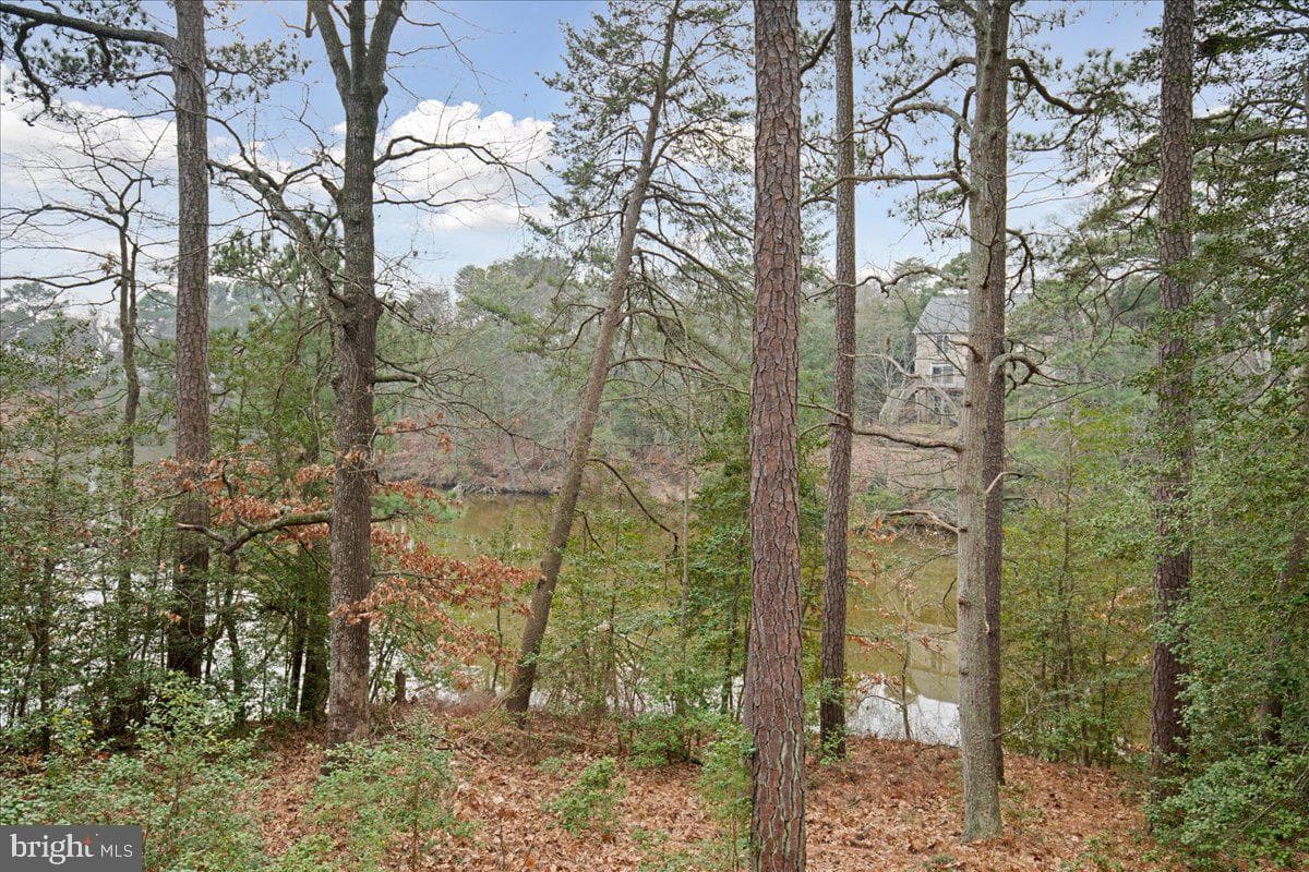 12987 Holly Way photo 2