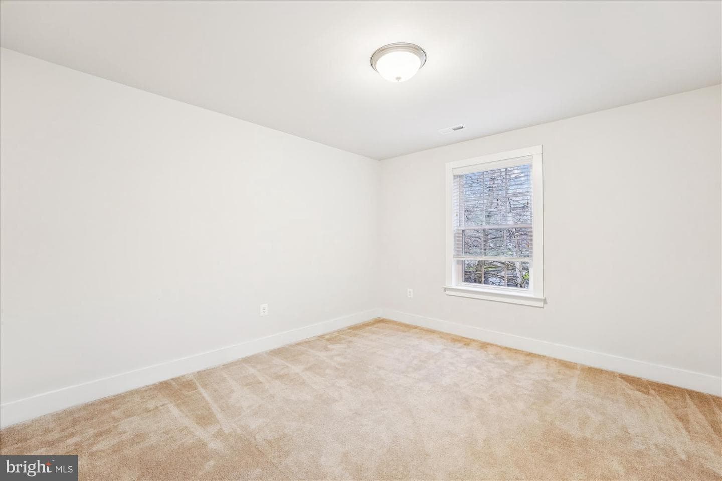 3814 3rd Street photo 17
