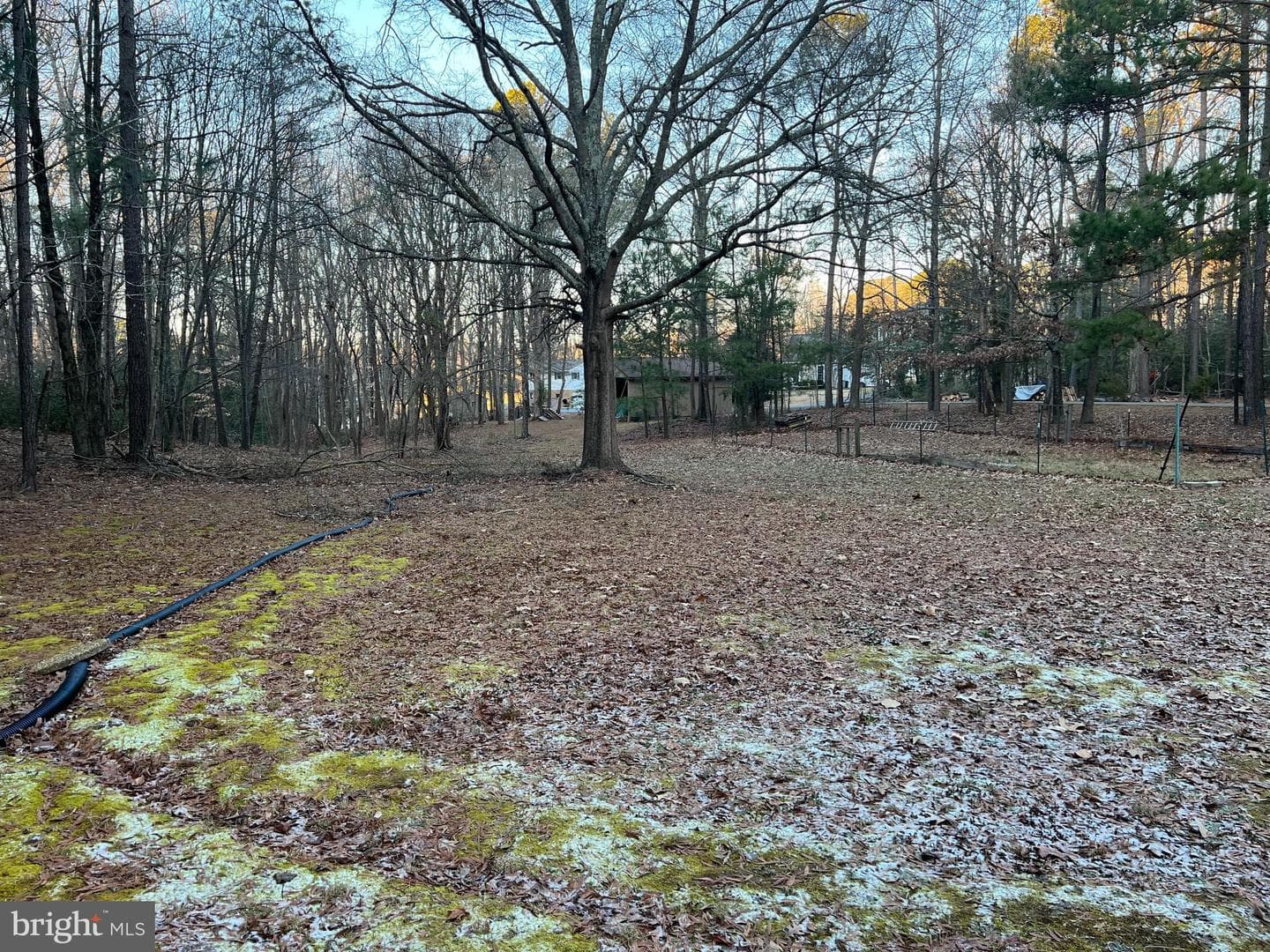 13195 Woodbank Road photo 35