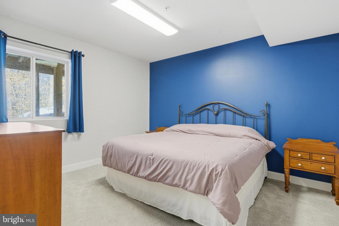 241 Oakland Hall Road photo 49