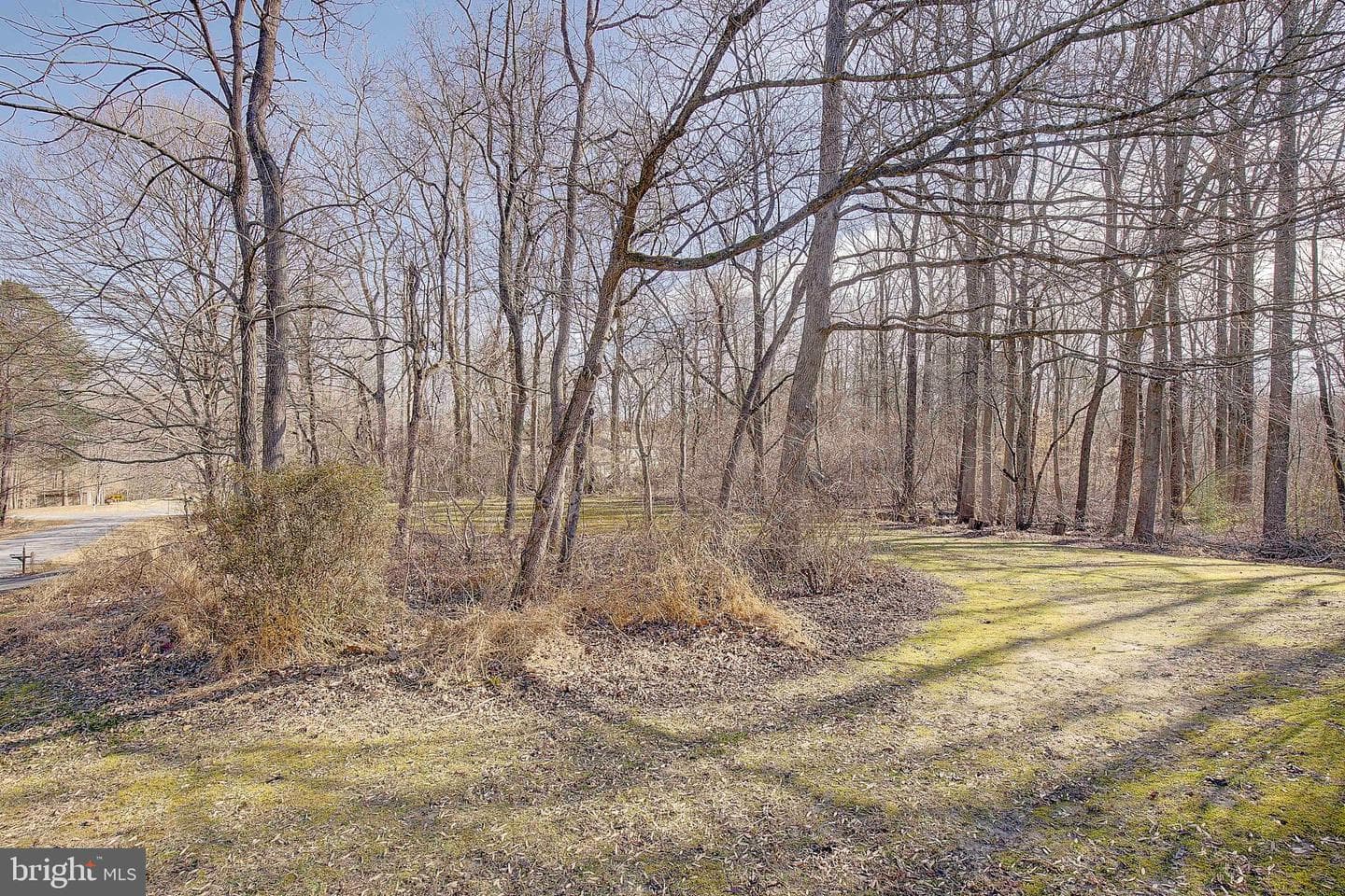 1225 Lake Ridge Drive photo 49