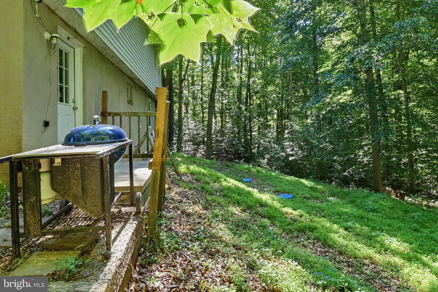 6337 Dory Court photo 41