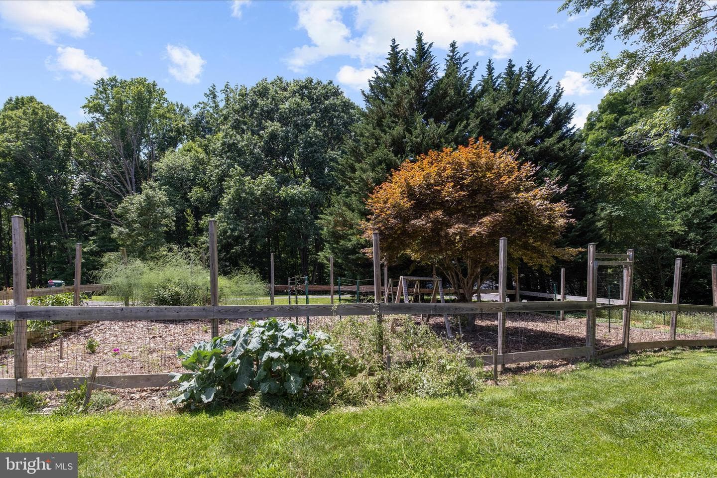 6901 Ash Court photo 69