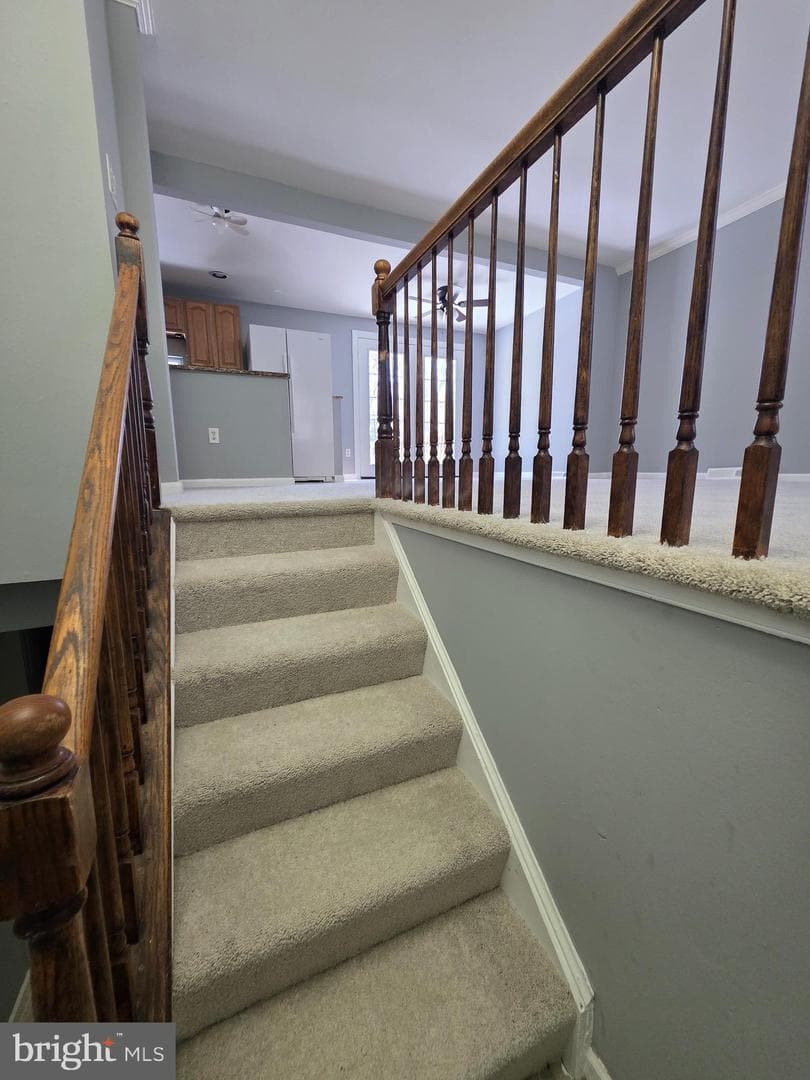 6756 Aralia Avenue photo 4