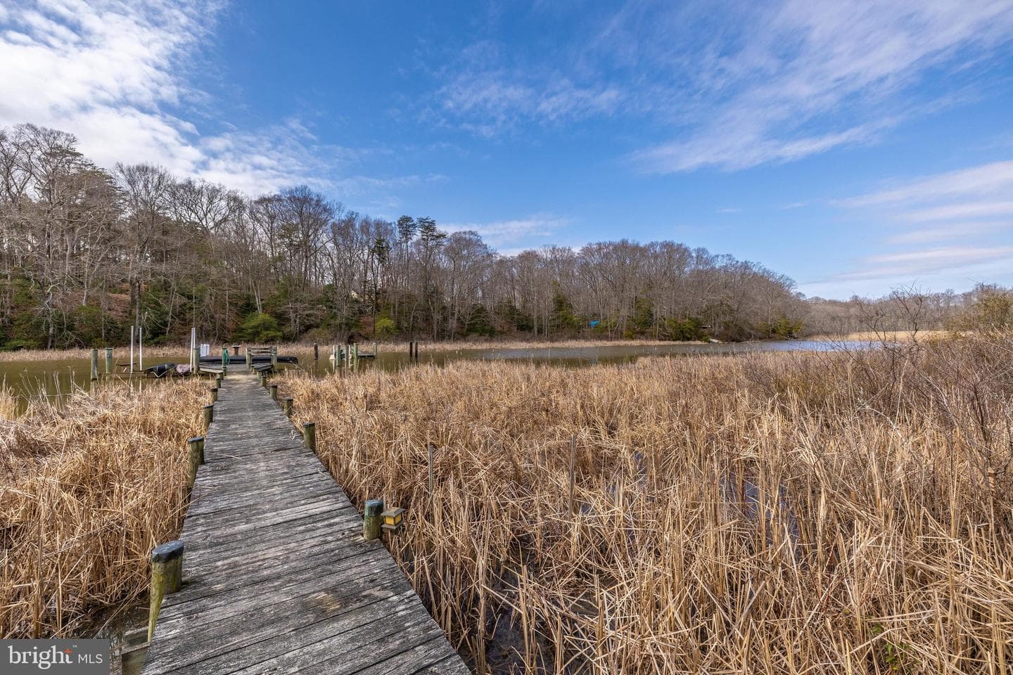 12124 Palisades Drive photo 100