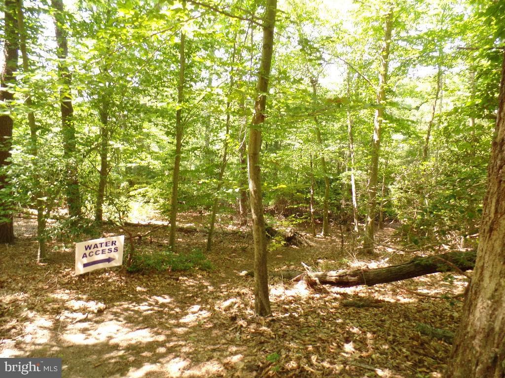 12124 Palisades Drive photo 127