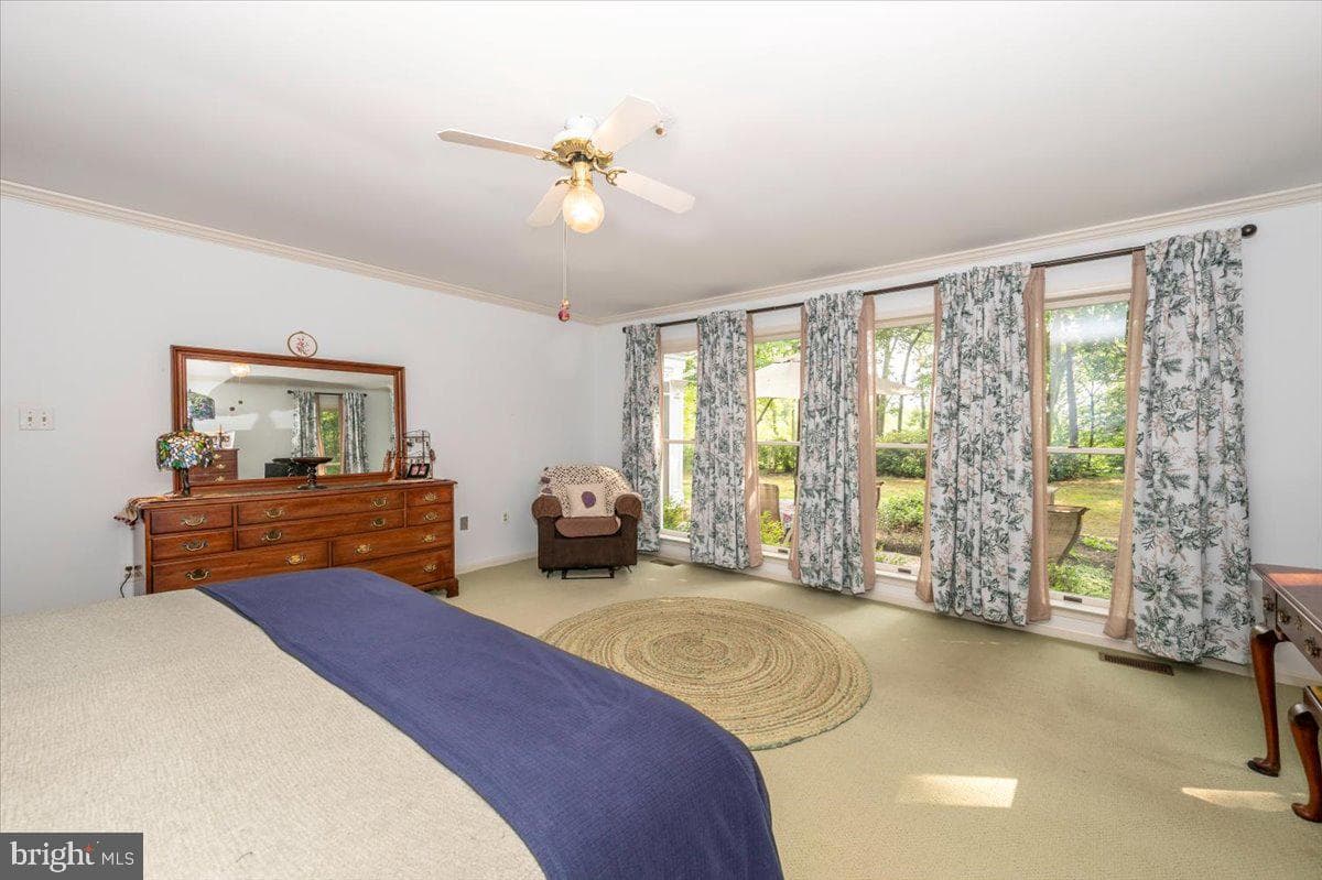 12124 Palisades Drive photo 69