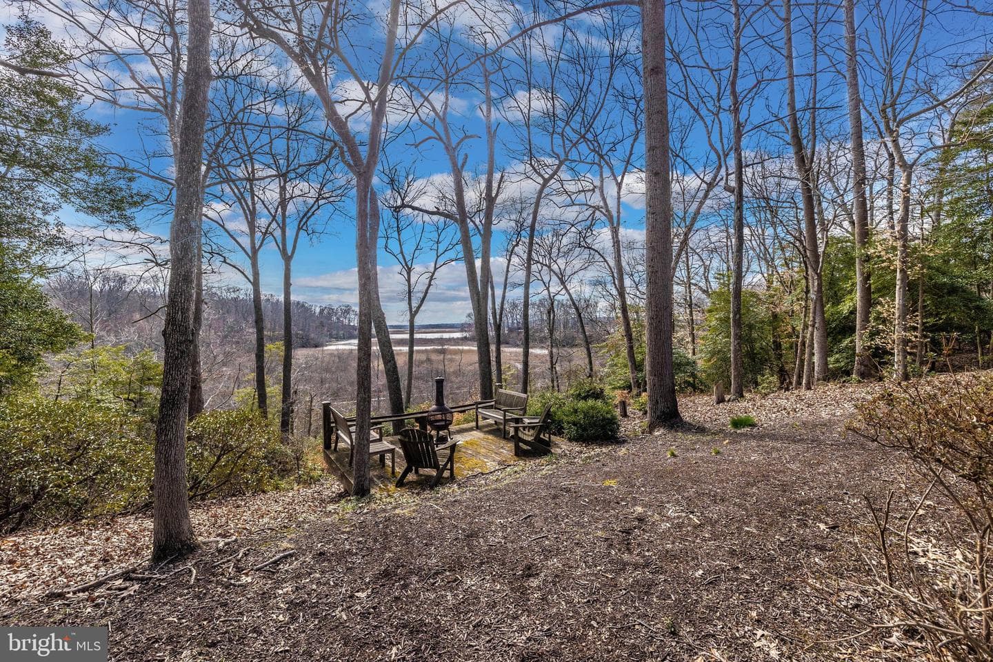 12124 Palisades Drive photo 85