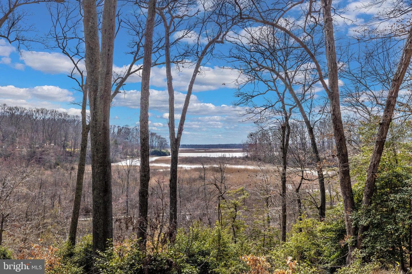 12124 Palisades Drive photo 87