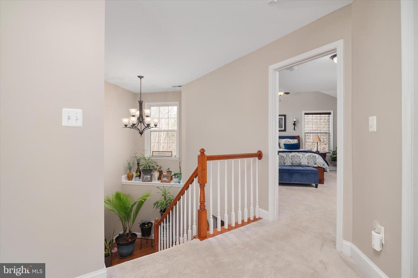 4550 Boones Lane photo 34