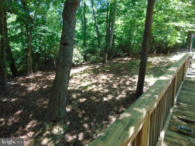12466 Dalton Trl Trail photo 39