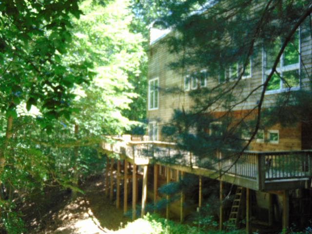 12466 Dalton Trl Trail photo 41