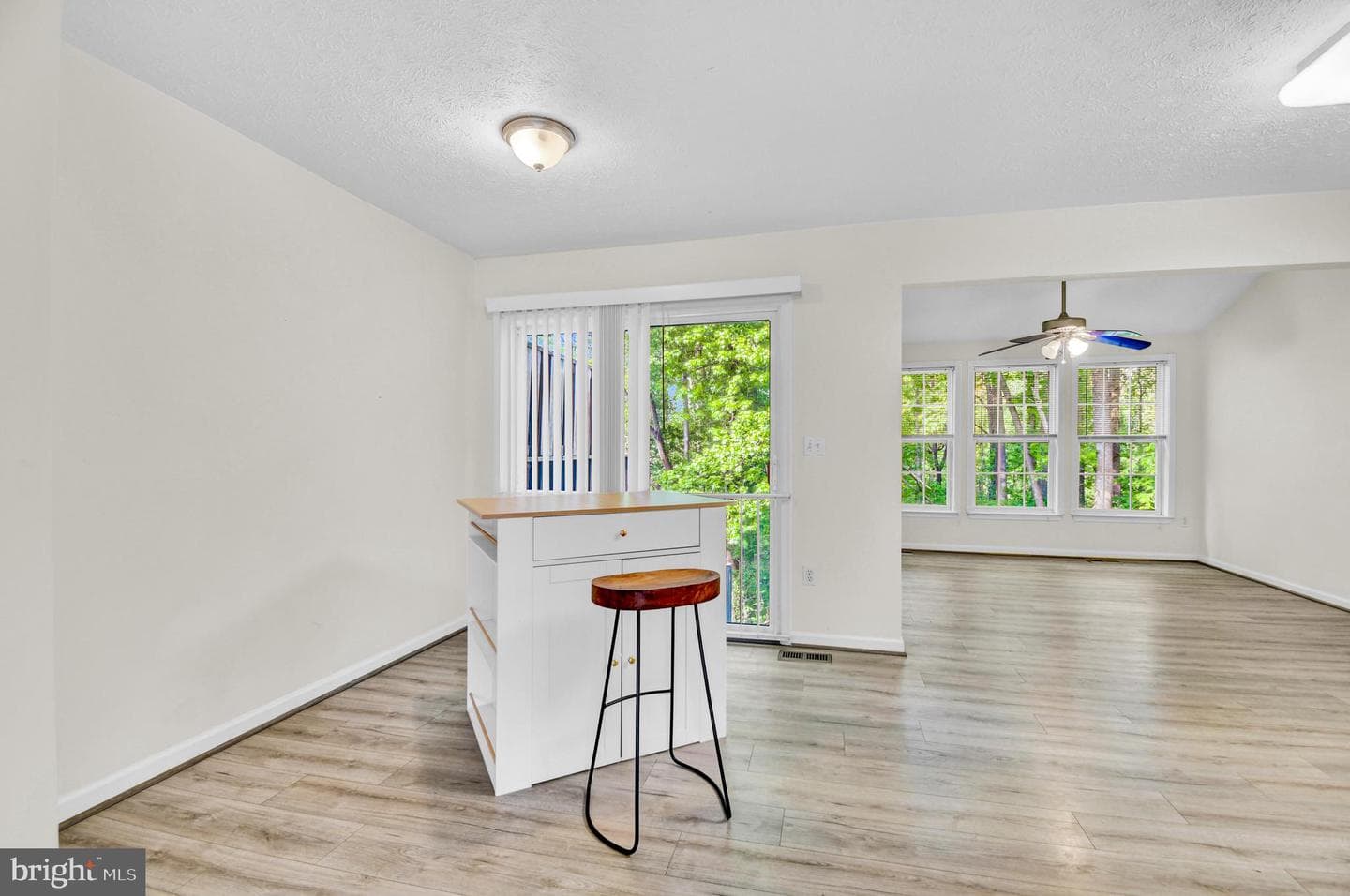 8036 Silver Fox Way photo 8