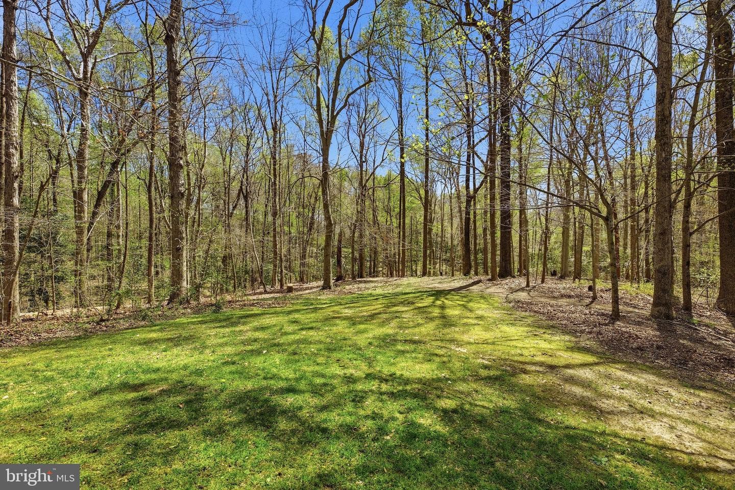 3112 Whispering Drive photo 20