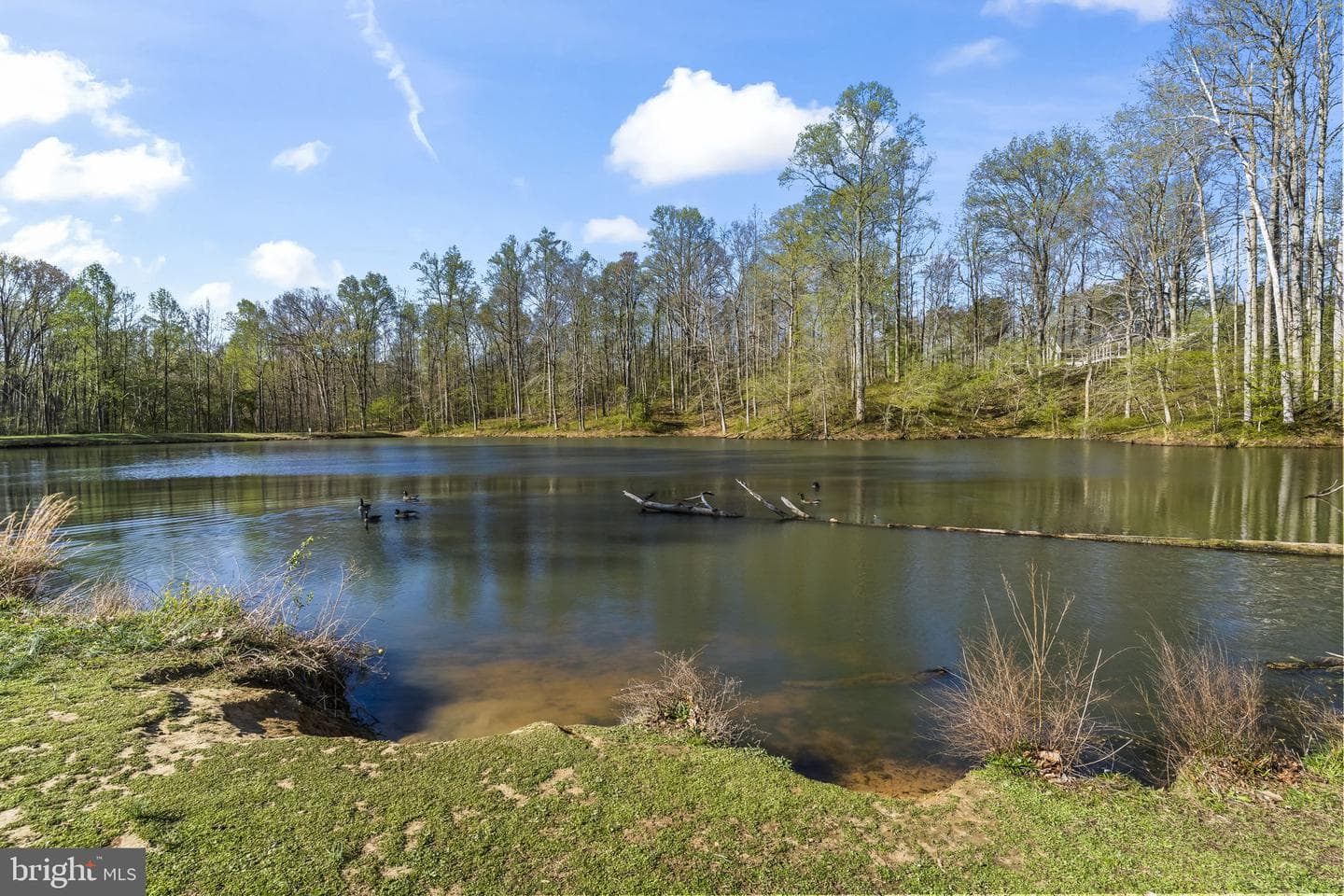4341 Barberry Drive photo 4
