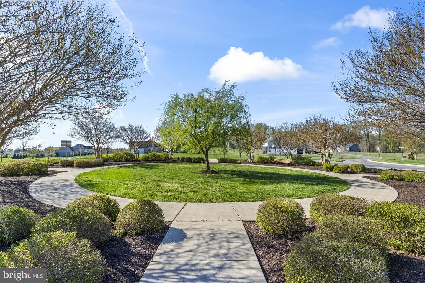 4341 Barberry Drive photo 74
