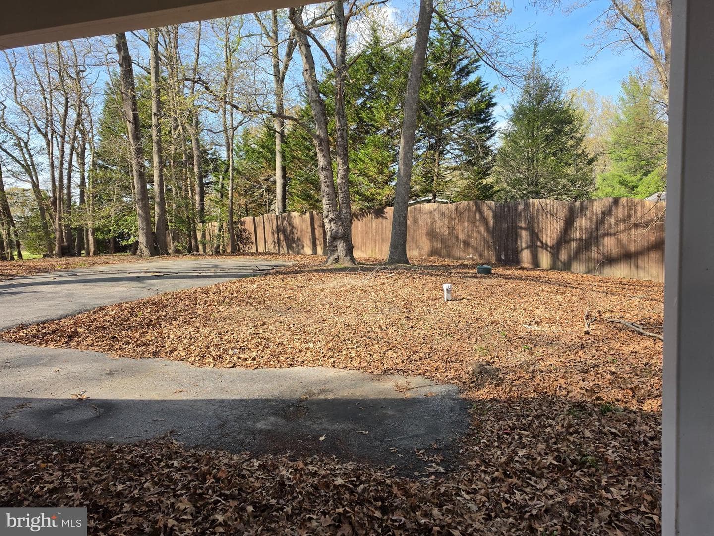 11223 Country Road photo 18