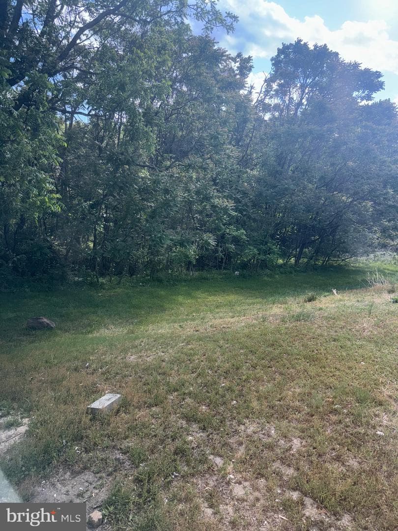 1650 Skinners Turn Road photo 9