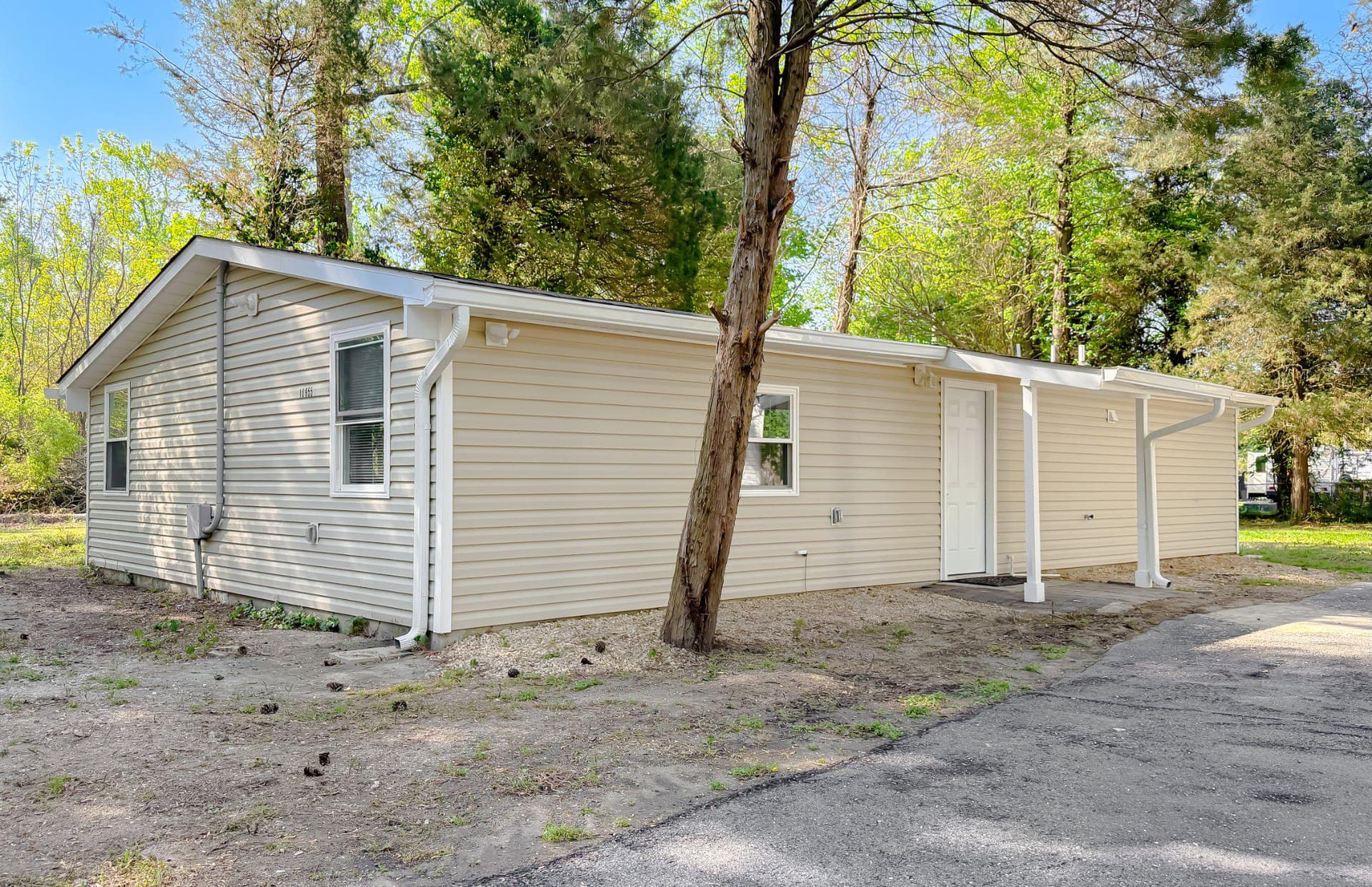 10955 Elm Drive photo 3