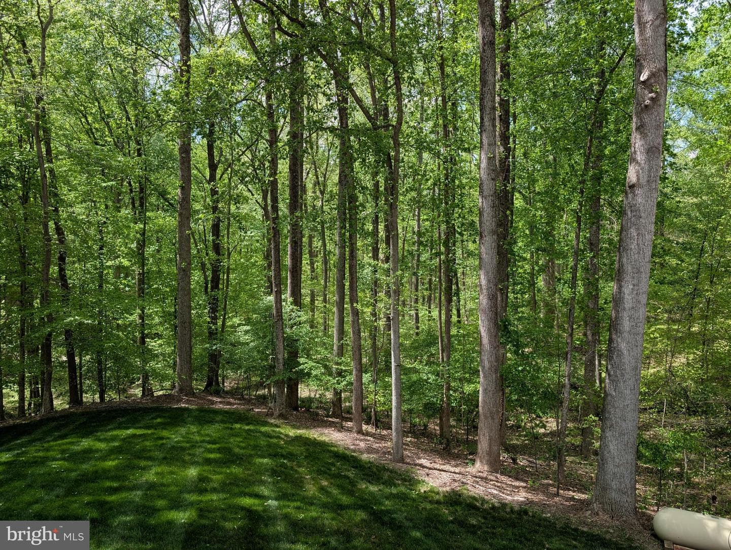 216 Walnut Creek Road photo 15