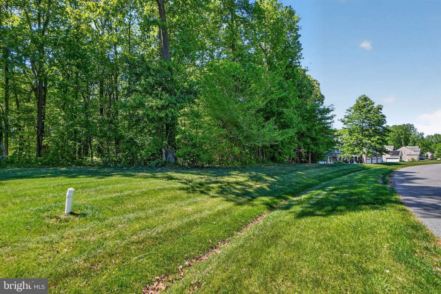 3640 Estelle Court photo 49