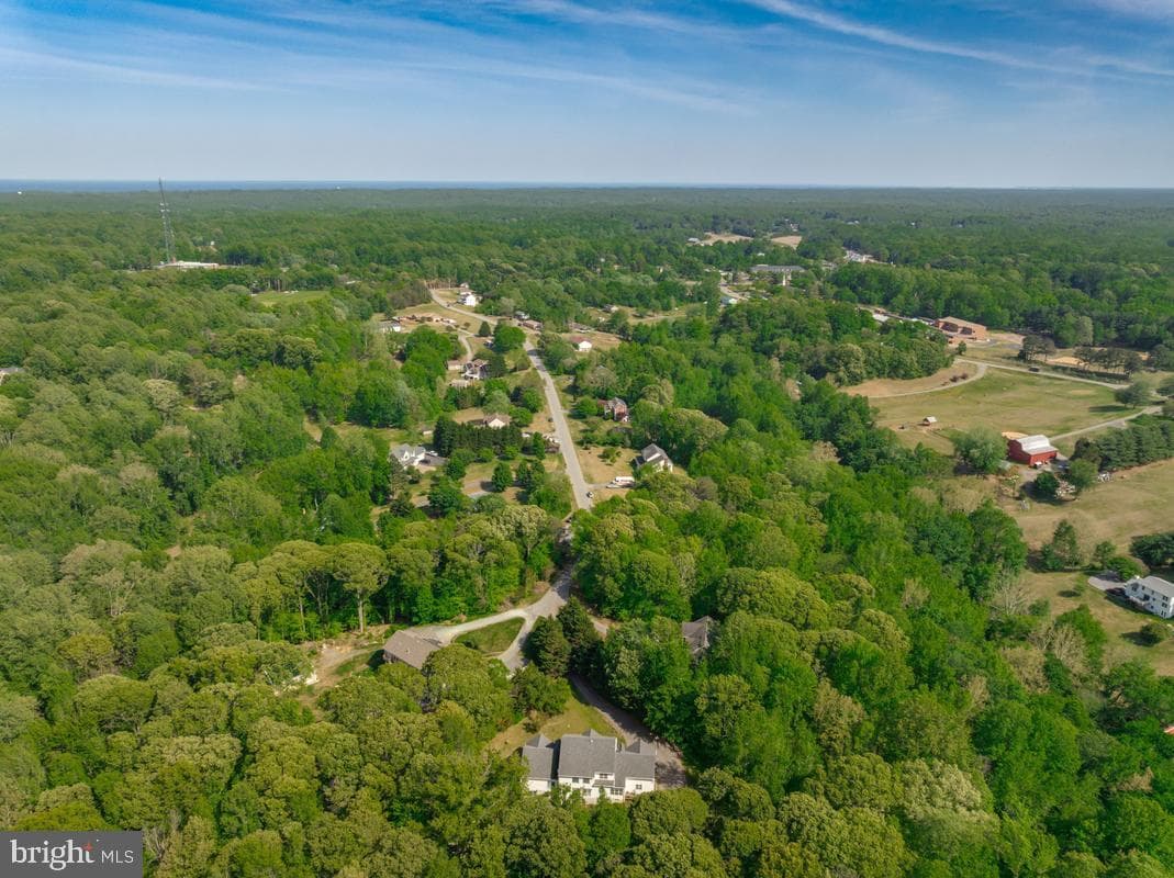 245 Persimmon Hills Court photo 56