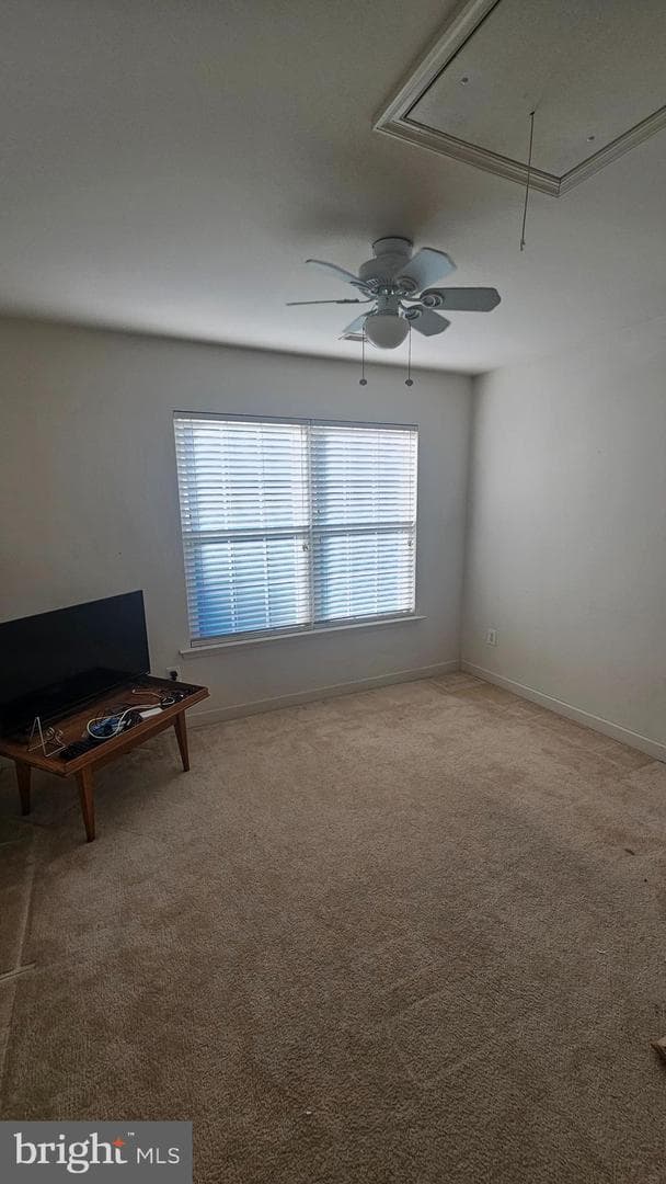 3020 Blackberry Lane photo 21