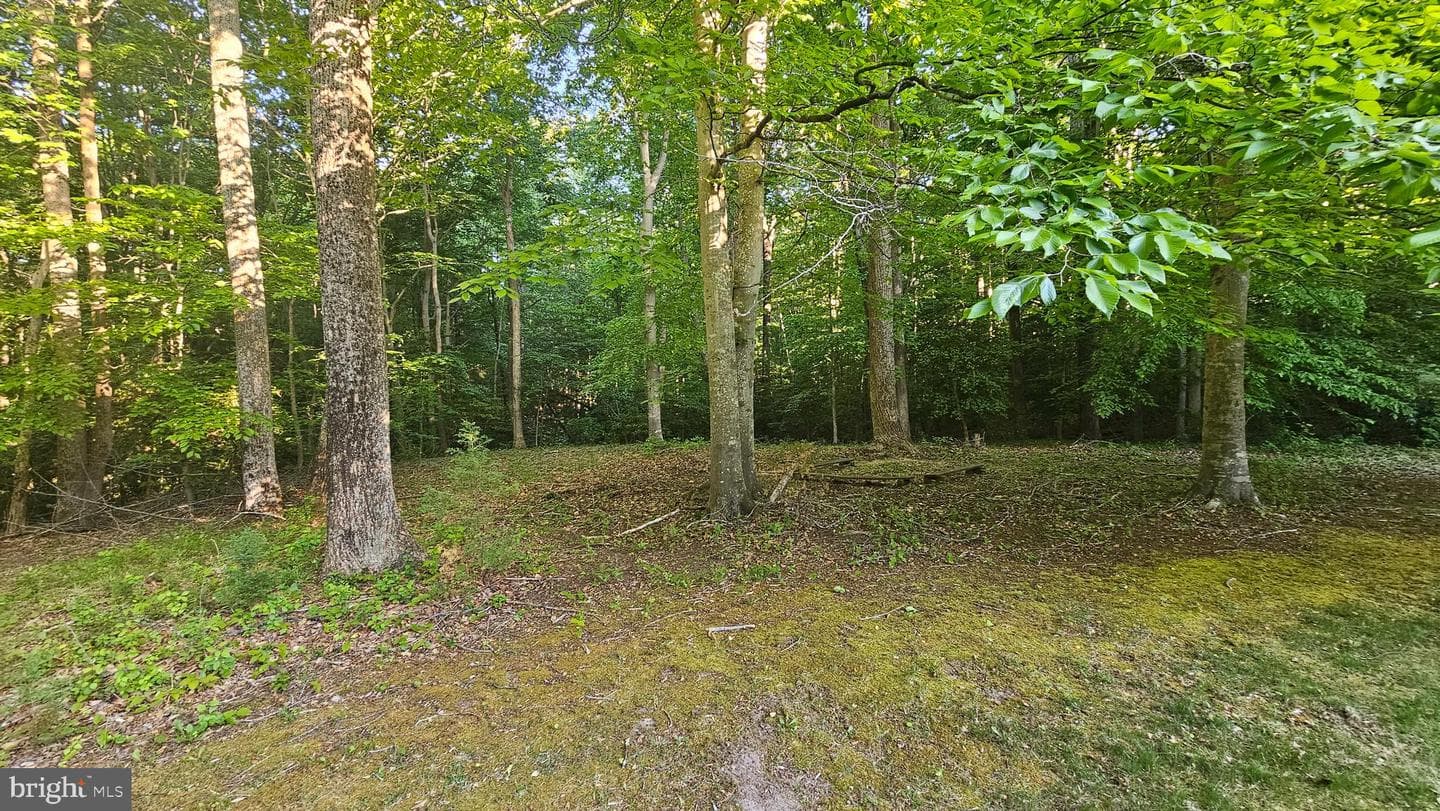3020 Blackberry Lane photo 27