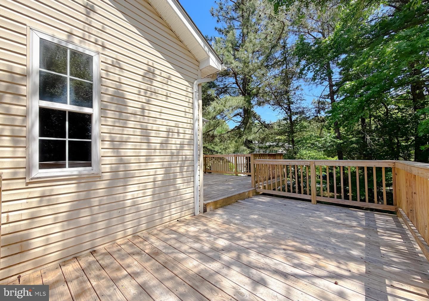 3815 Catesby Oak Court photo 53