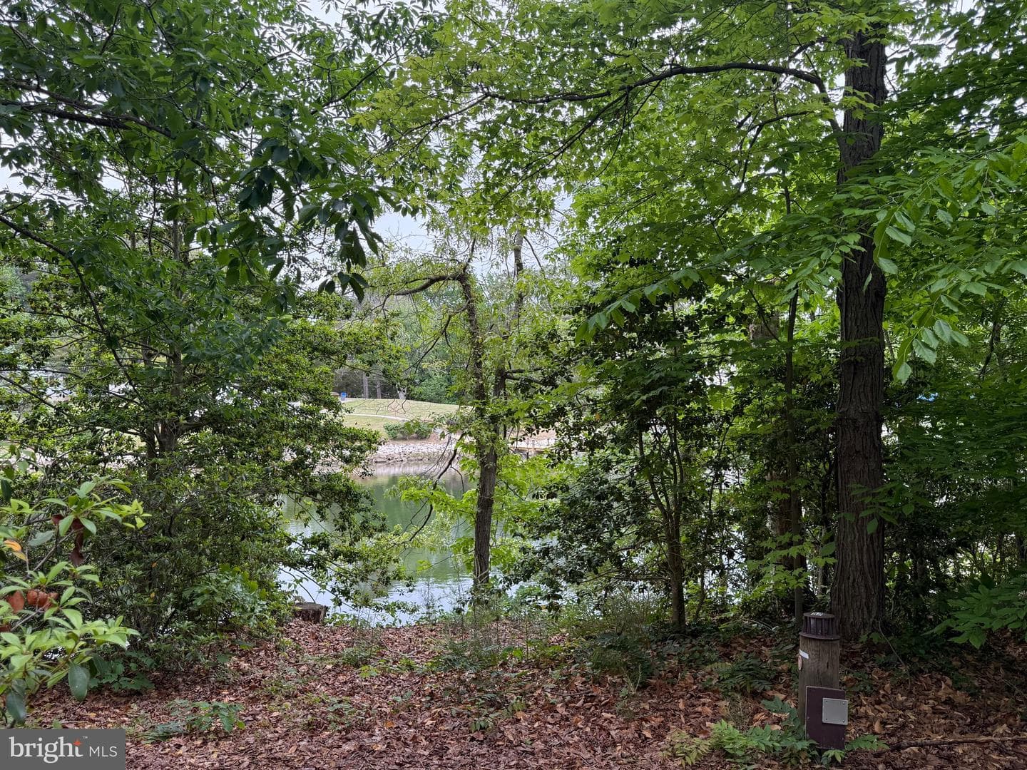 1106 Back Creek Loop #1106 photo 29