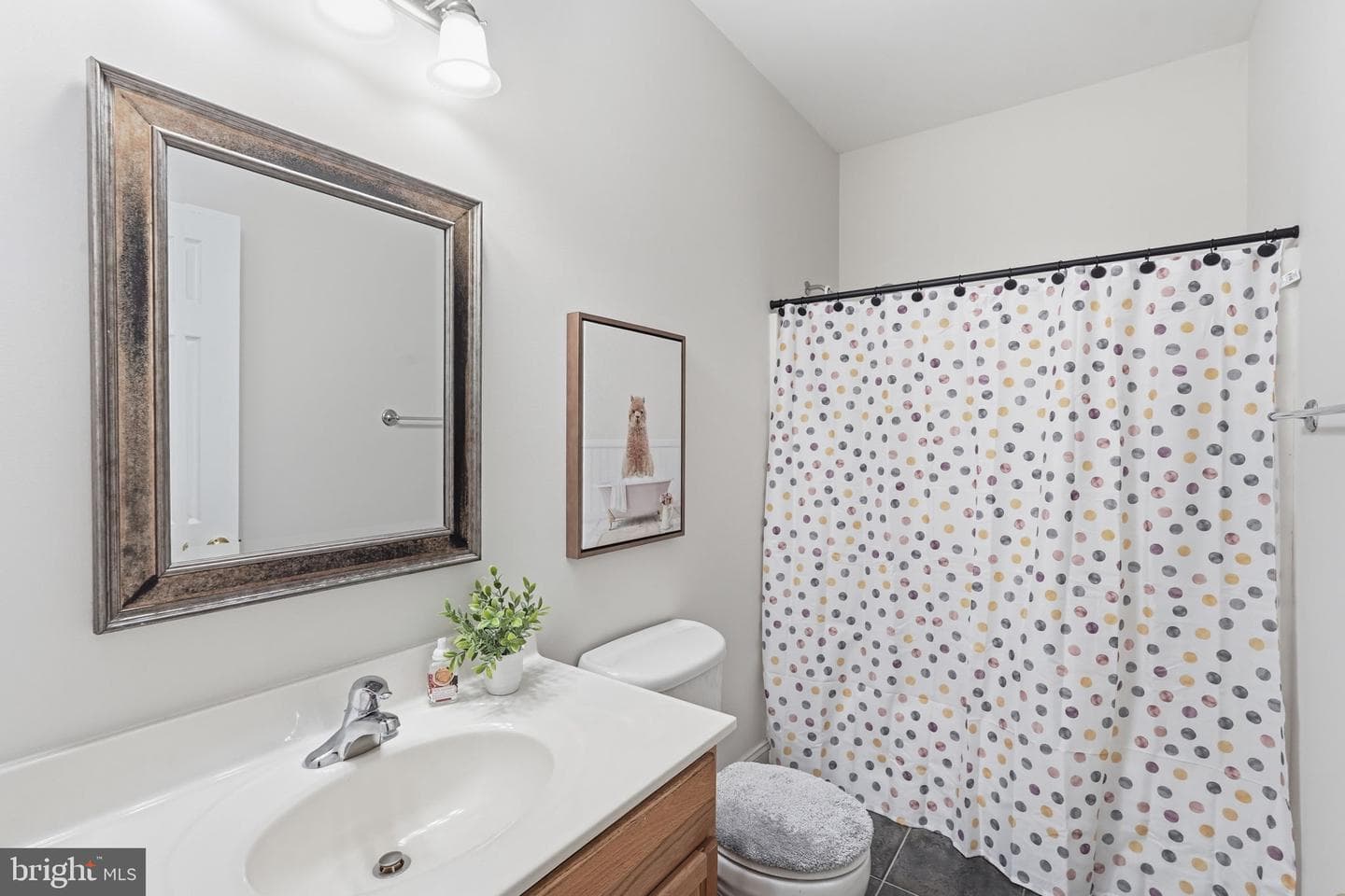 925 Carson Road photo 25