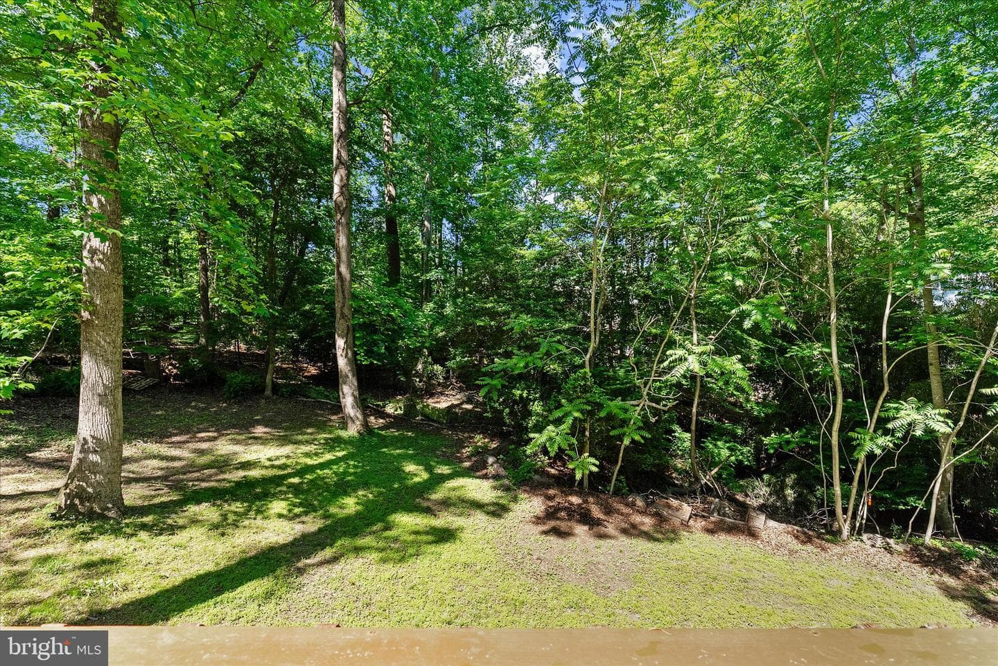 526 Dillon Drive photo 55