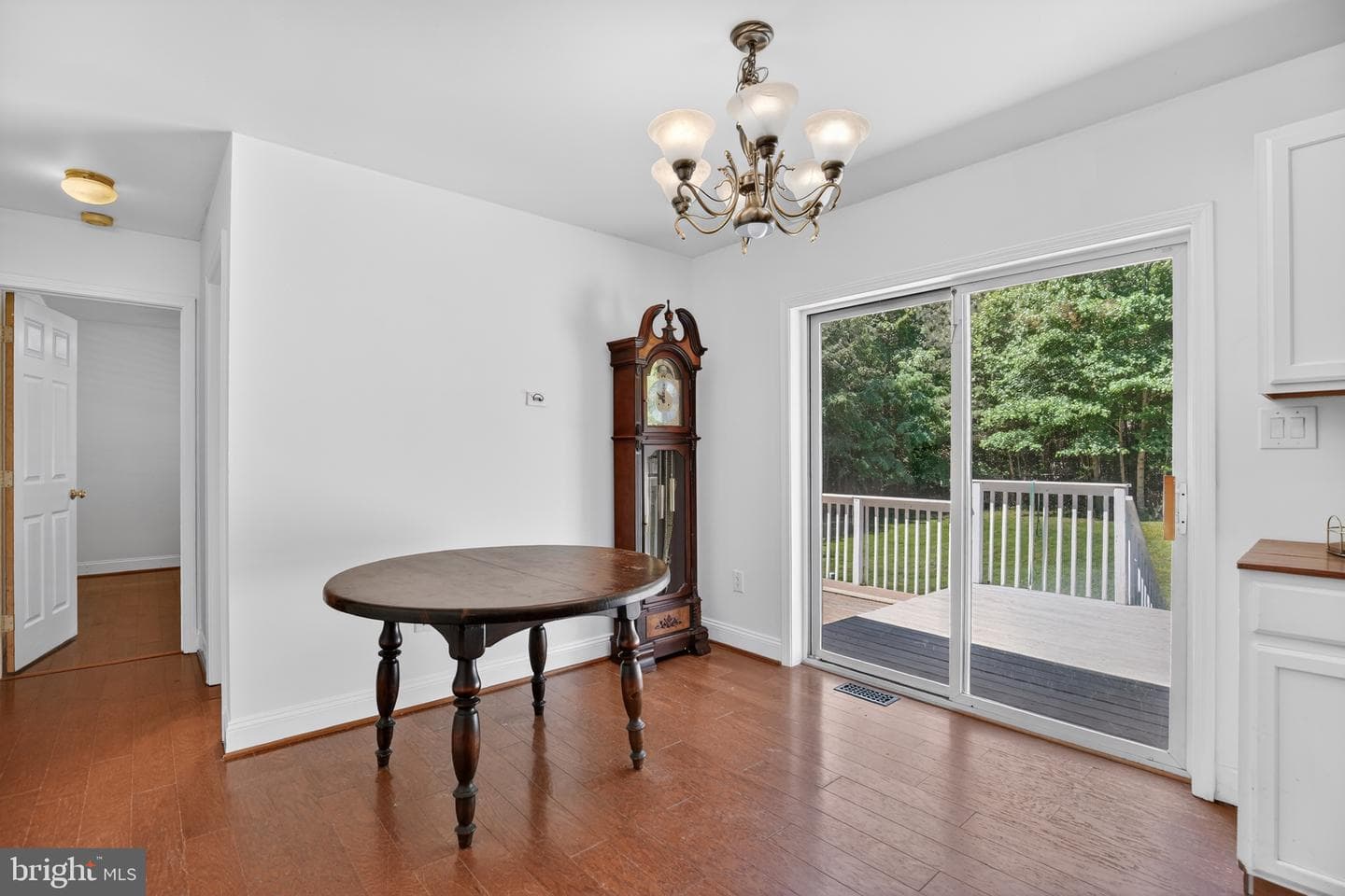 1820 Striped Bass Court photo 19