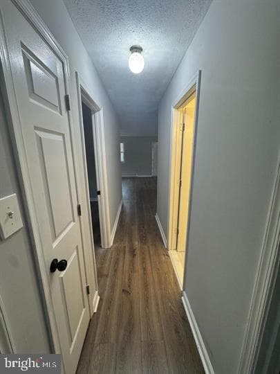 709 Spruce Drive photo 19
