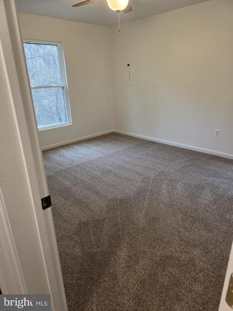 3711 Cassell Boulevard photo 12
