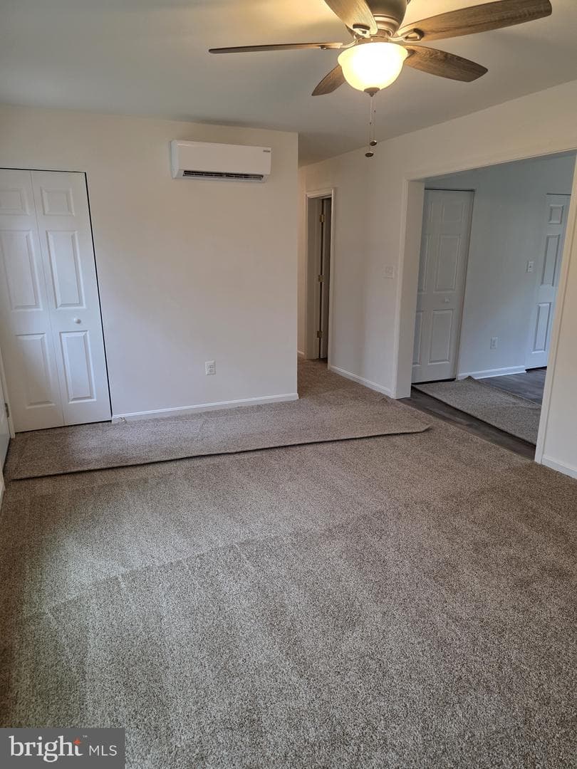 3711 Cassell Boulevard photo 8