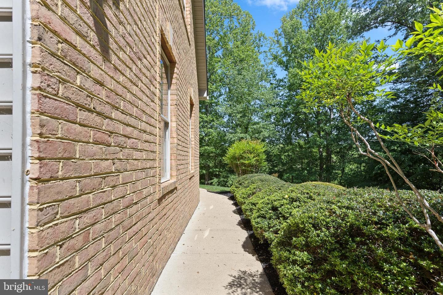 9350 Baker Street photo 66