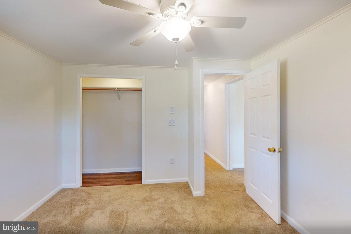 2020 Woods Road photo 24
