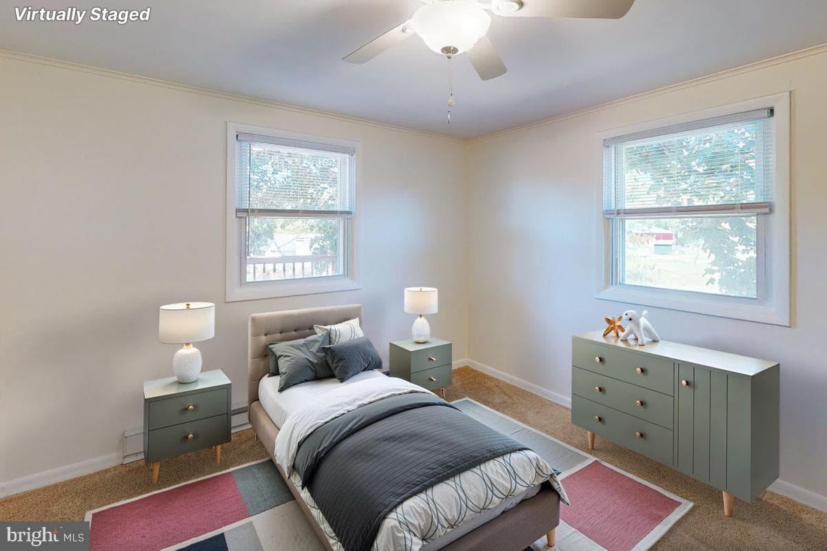 2020 Woods Road photo 6