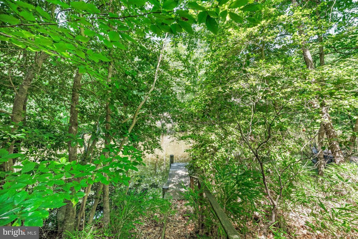 11639 Sidewinder Lane photo 4