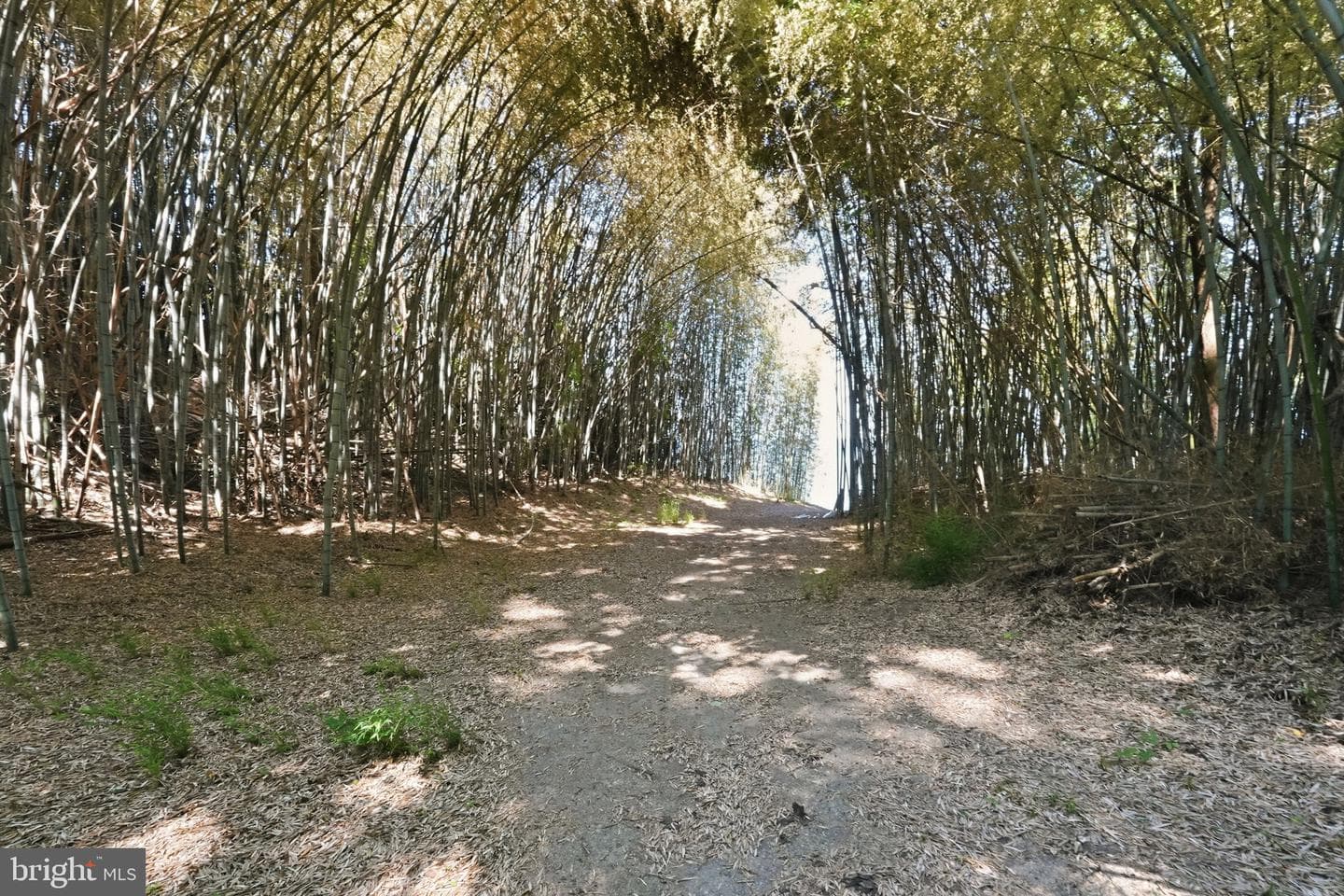 4010 Beach Drive photo 29