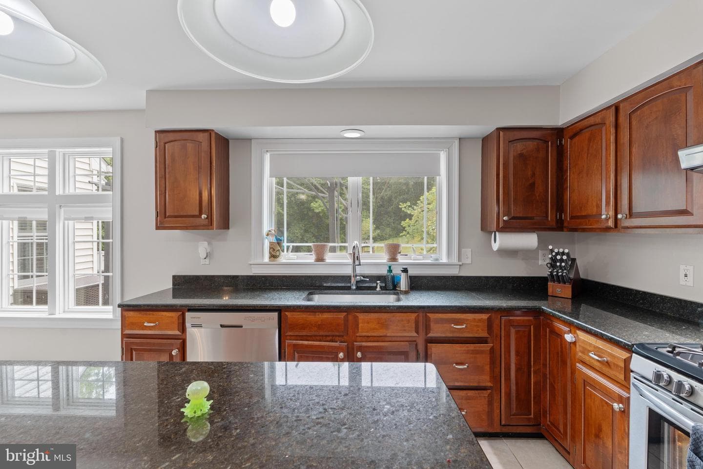 1110 Somerset Lane photo 9