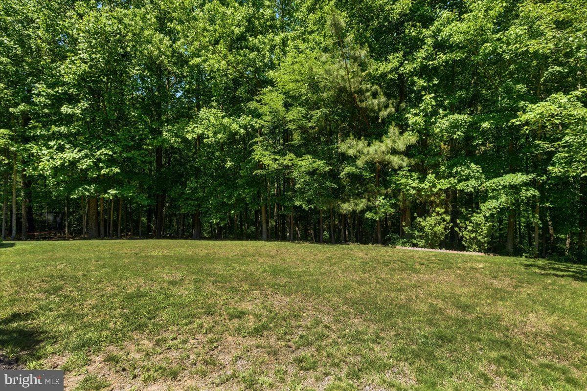 2424 Springbrook Court photo 92